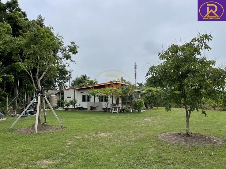 ขายบ้านสวน บ้านพัก 1-2-33 ไร่ พร้อมผลไม้ หลากหลายชนิด ทำเลดี เหมาะสำหรับพักผ่อน ต.บ้านสวน อ.เมืองชลบุรี จ.ชลบุรี 2