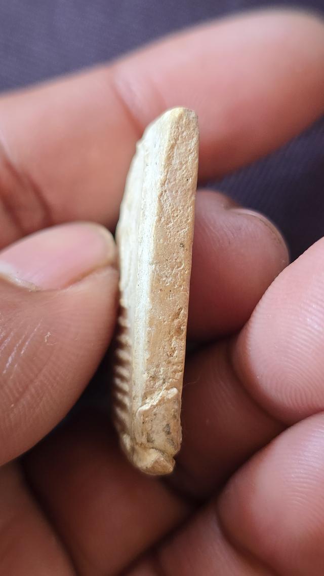 พระสมเด็จพิมพ์ 7 ชั้นหูติ่ง หลวงปู่ภูวัดอินทร์ รูปที่ 5