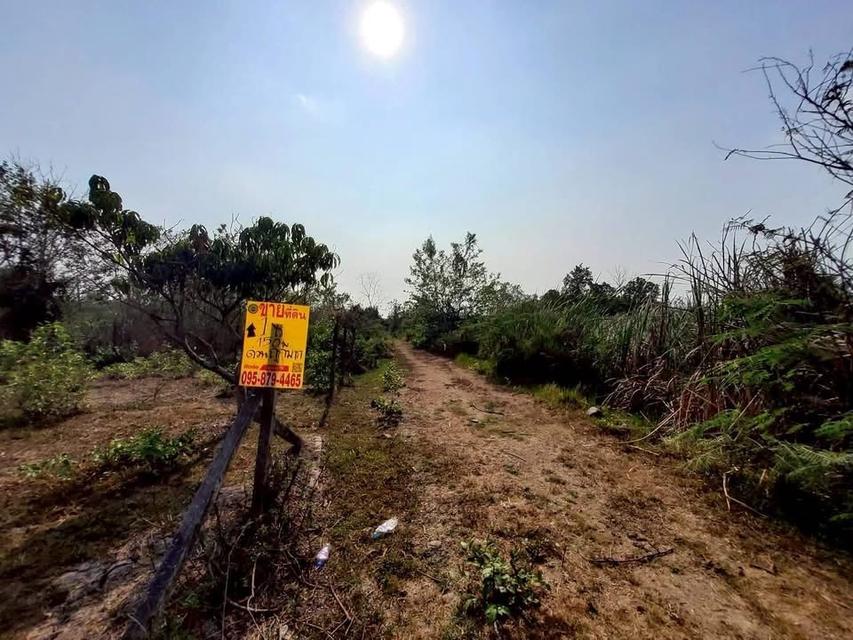 ขายถูกทีดิน 400 ตารางวา ติดถนนสาธารณะใกล้ซอยอยู่รวย แลนด์ หนองสามวัง หนองเสือ 8