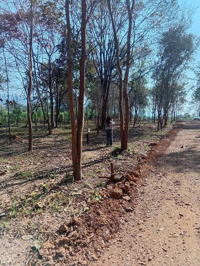 ที่ดินแบ่งขายมีโฉนด ครุฑแดง 3