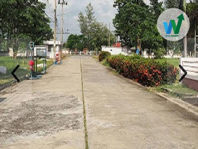 ขายถูกที่ดินสวย บ้านสวนศรีปทุมใกล้ดรีมเวิลด์ 4