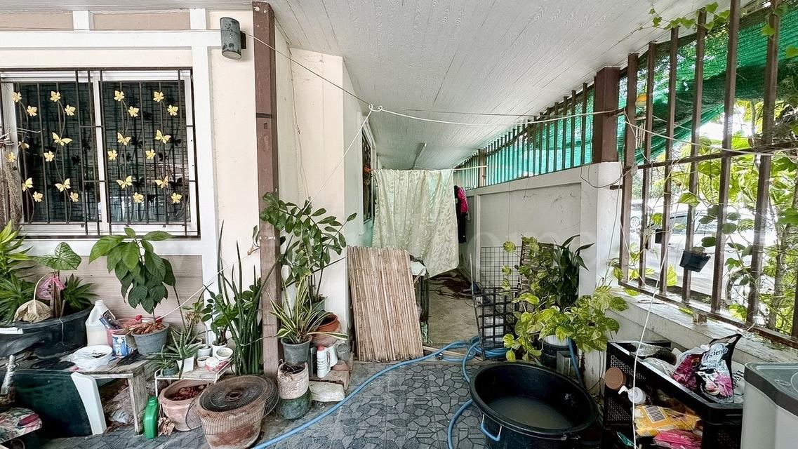 ทาวน์เฮ้าส์ ชั้นเดียว บ้านกลางเมือง พีพี 8 เมืองสุพรรณบุรี หลังมุม