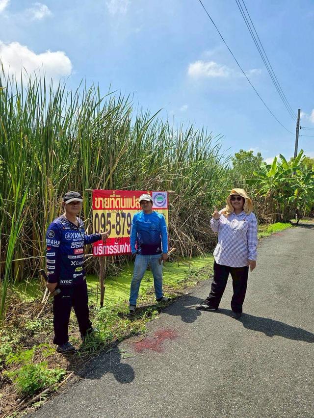ขายถูกที่สุดที่ดินทำเลดี 53 ตารางวา ติดถนนลาดยางสาธารณะ ซอย ร่มโพธิ์ทอง 14 อ.บางบัวทอง จ.นนทบุรี 2