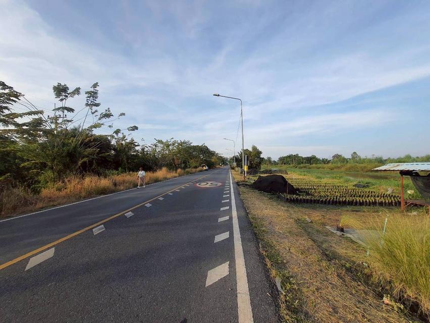 Vายถูกที่สุด ที่ดินติดถนนเลียบคลองสิบสี่  2 ไร่ ทำเลดี มีอนาคต นักลงทุนไม่ควรพลาด อ.หนองเสือ จ.ปทุมธานี 8