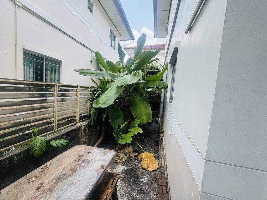 บ้านแฝด 2 ชั้น สไตล์บ้านเดี่ยว ผนังไม่ติดใคร หมู่บ้านพร้อมพัฒน์1  จองตอนนี้ ลดพิเศษ 200,000 บาท 4