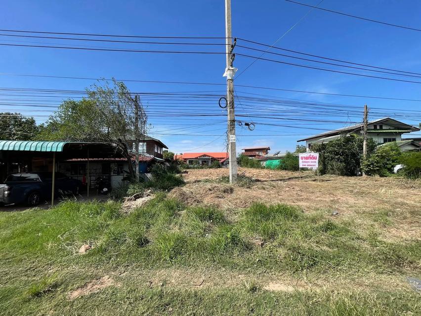 ขายที่ดิน ว่างเปล่า อำเภอเมือง มหาสารคาม 4