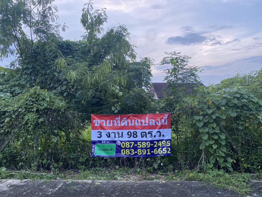 ขายที่ดินแบ่งขาย 100 ตร.ว. x 4 แปลง โซนแม่ริม (ใกล้วัดดอนแก้ว) จ.เชียงใหม่ เจ้าของขายเอง 4