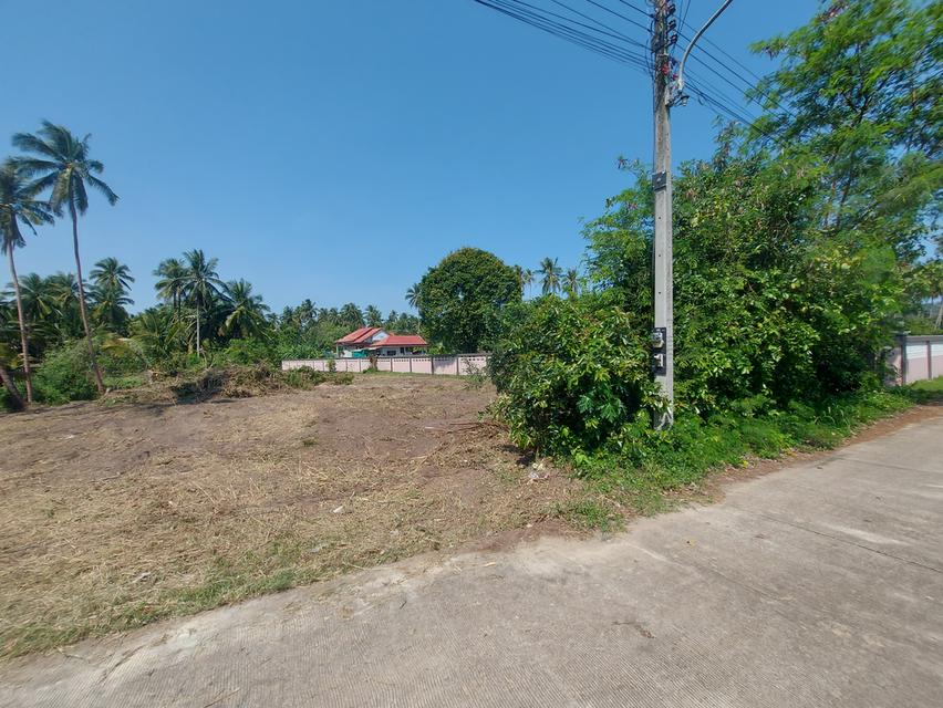 位于Thong Chai Subdistrict、Bang Saphan District、Prachuap Khiri Khan的优质土地出售。该地块可通过多条道路便利进出,环境清幽,绿树成荫,气候宜人,并且距离海边不远。土地总面积为 3莱 3颜 76平方哇(约 6,304平方米)。 5