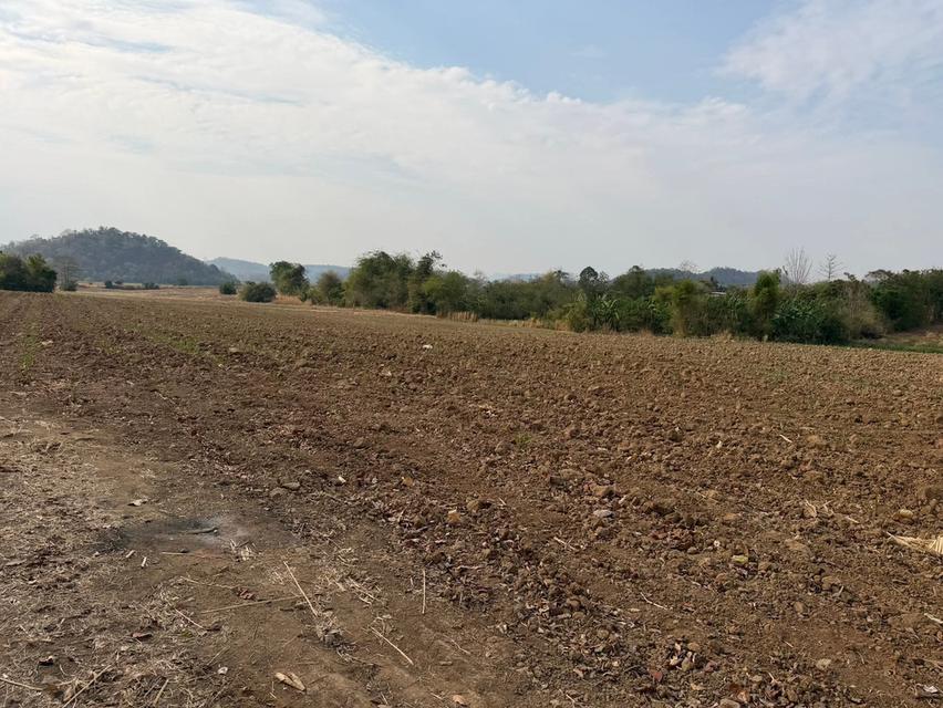ขายที่ดินติดลำธารที่เพชรบูรณ์ 19
