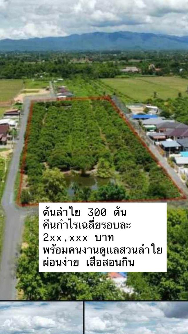 ที่ดิน สารภี  เชียงใหม่ 3