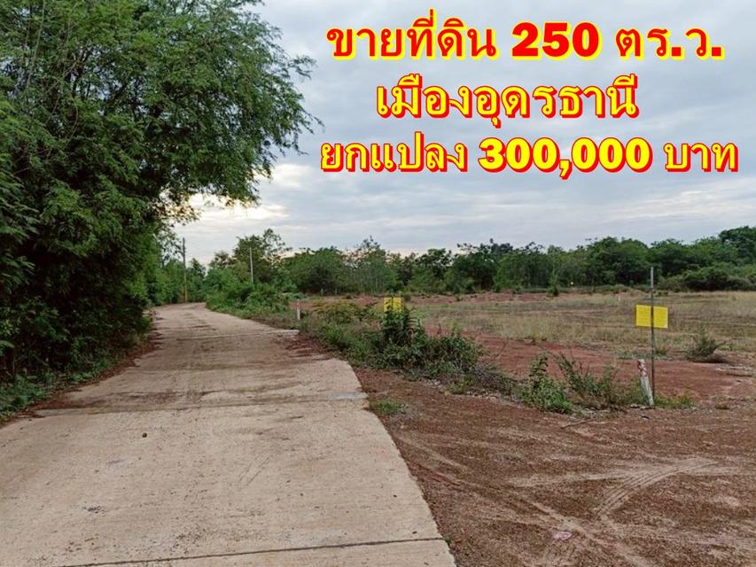ขายที่ดิน เนื้อที่ 250 ตรว. ใกล้เมืองอุดร ติดถนนคอนกรีต มีไฟฟ้า 1
