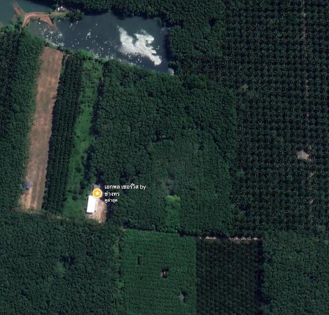 บ้านหลังใหญ่ พร้อมทุเรียน4ปี และสวนยางพารา 15