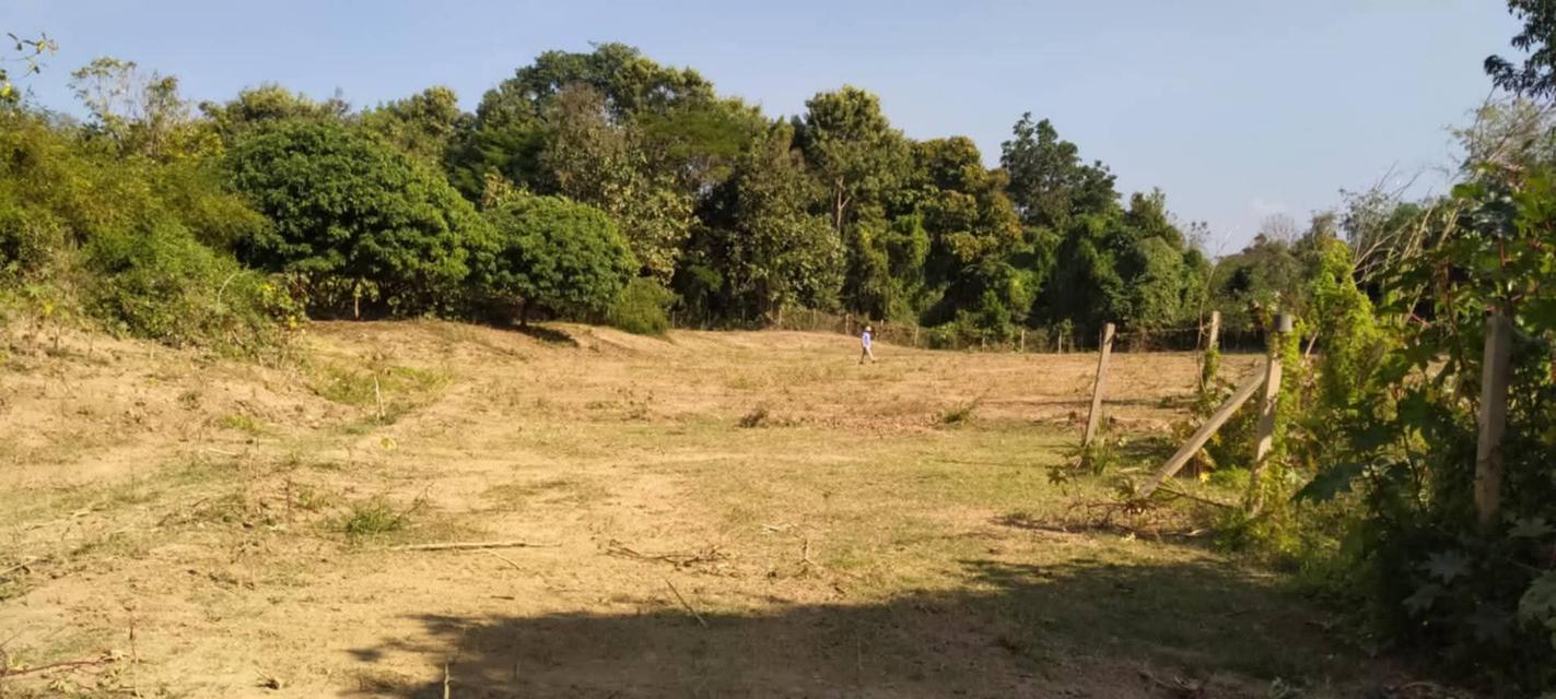 ที่โฉนดติดแม่น้ำวังพื้นที่ 5ไร่2งาน69ตรว.1.9 ล้านบาท (ฟรีโอน)ด้านในบริเวณที่ดินปลูกไม้สัก ลำไย มะม่วงที่ดินมี2ระดับชั้น ชั้นบนจะอยู่ระดับเดียวกับถน 12