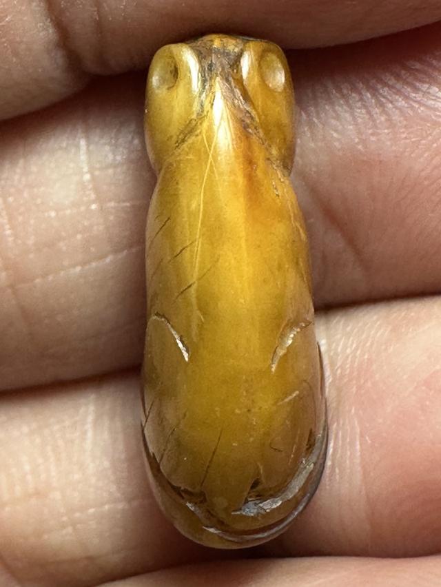 เสือเขี้ยวแกะ มีจาร รอบ 4