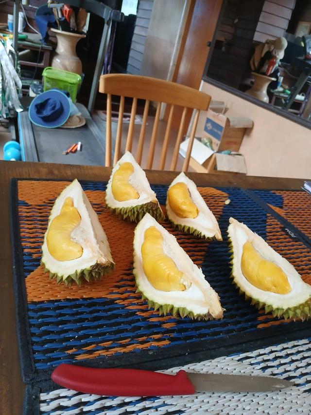 สวนทุเรียนให้ผลผลิต5ล้าน+ต่อปี เช็คพื้นที่ได้ทันที 13