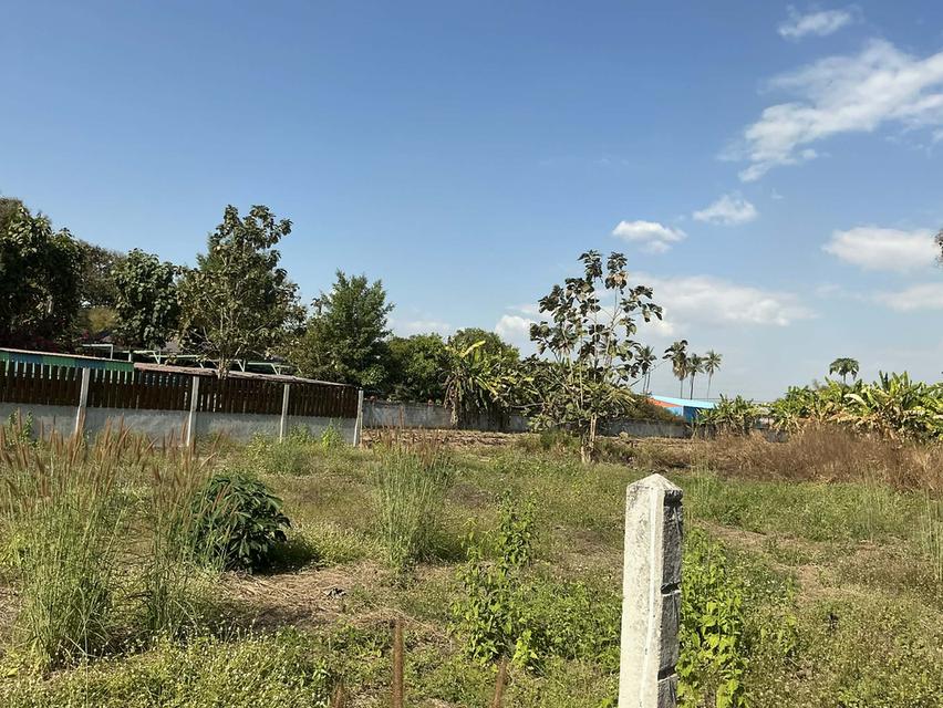 ขายที่ดินติดริมน้ำปิงกำแพงเพชร 12