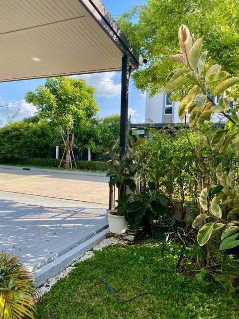 ให้เช่าบ้านแฝด แกรนด์ พลีโน่ เมกา บางนา Grande Pleno ติด Mega บางนา บ้านอยู่ถนนเมน บ้านสวย สภาพใหม่ พร้อมเข้าอยู่ 3