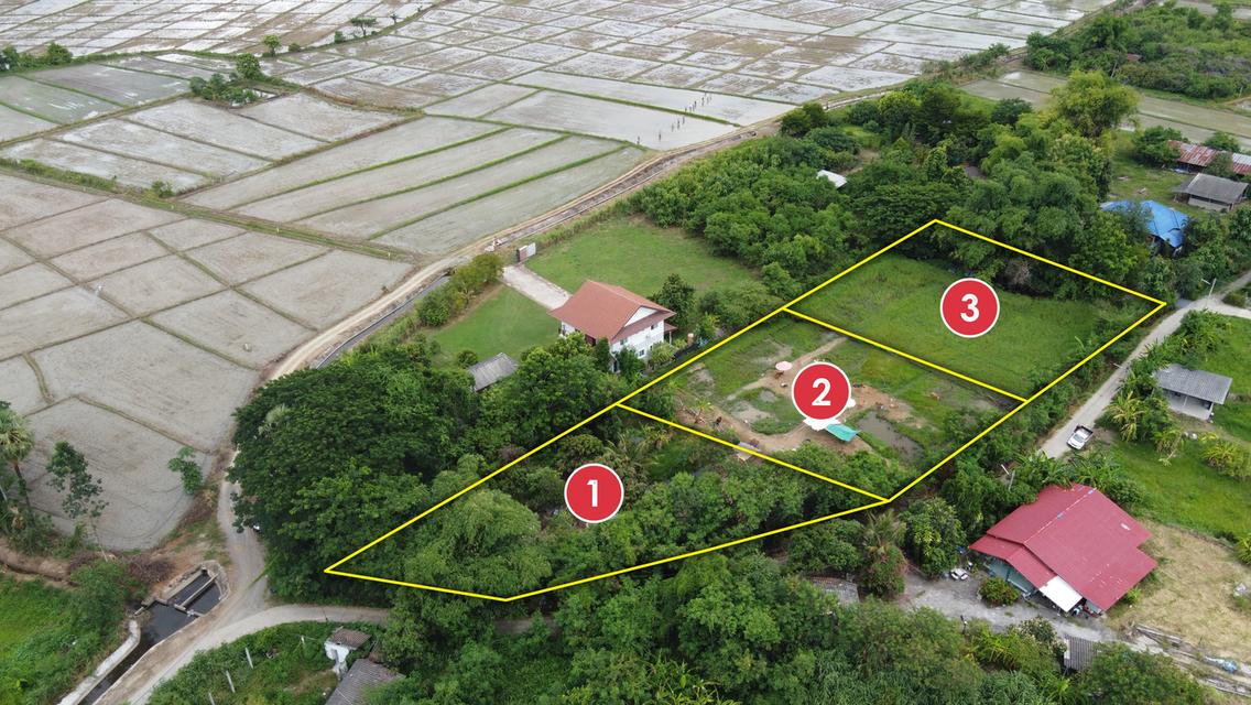  ที่ดิน 3 แปลง 378 วา , 400 วา และ 400 วา ใกล้สันกำแพงสายใหม่ 550 เมตร 4