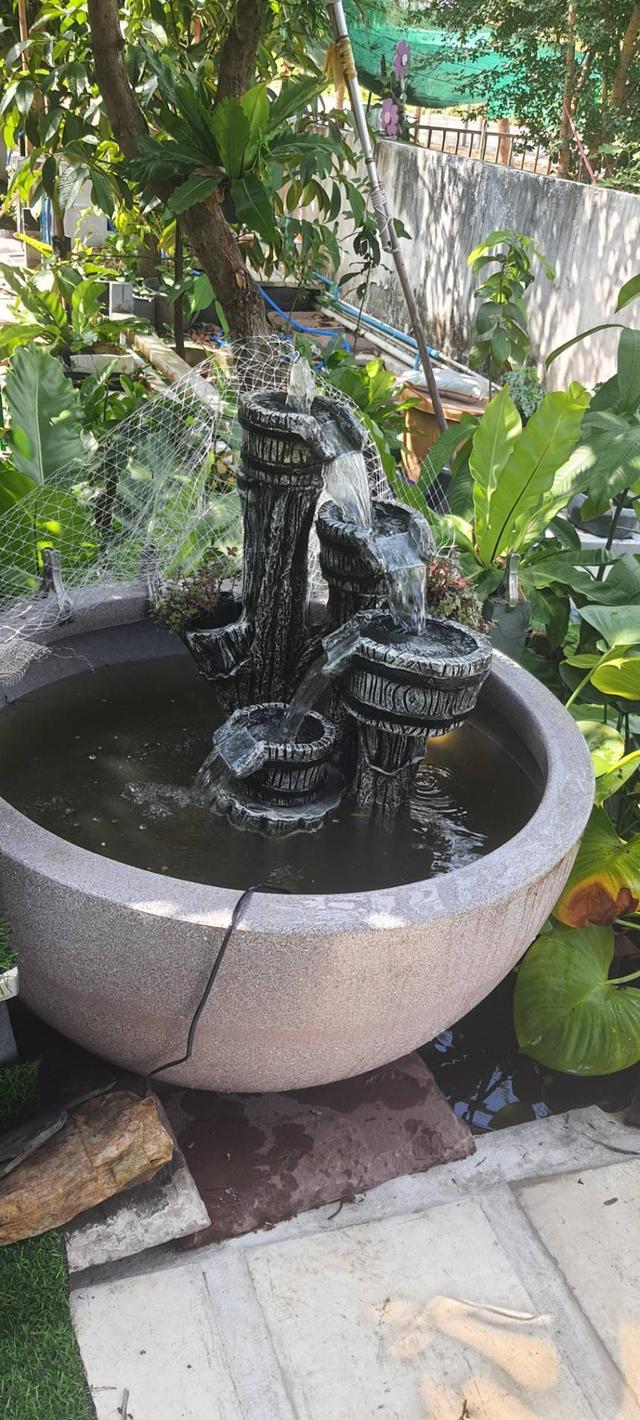 อ่างปลาขนาดใหญ่มาก อ่างปลาขนาดใหญ่ กระถางขนาดใหญ่ อ่าง3ฟุต รูปที่ 2