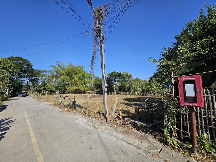 ที่ดินสันกำแพง 2 แปลง รวม 231 ตรว. 6