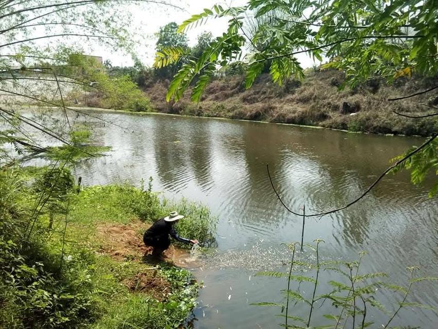 บ้านสวนป่าติดน้ำเลย(น้ำไม่ท่วม)