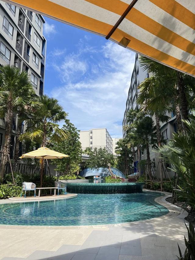 Condo for Rent – Dcondo Reef Kathu, Phuket 16