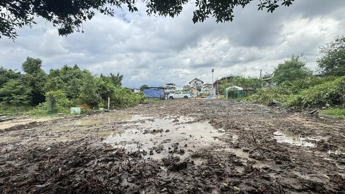 ขายที่ดิน 67.8 ตรว สุขสวัสดิ์ 78 ซอยวัดชังเรือง คู่สร้าง-คู่สม โครงการ3 ซอย 4/3 ราคาถูก ใกล้ตลาดคู่สร้าง 3
