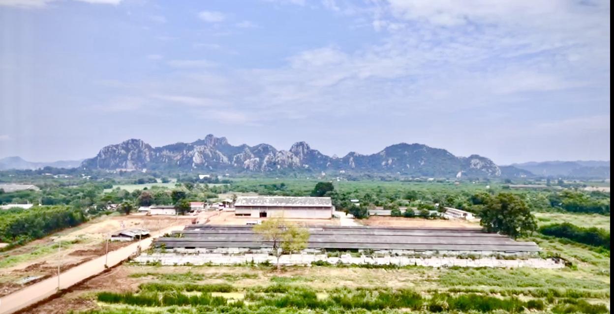 ขายที่ดินพร้อมปลูกสร้าง 2