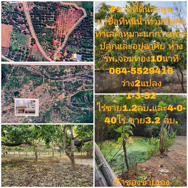 ขายที่ดินถมแล้ว 4-0-40 ไร่ น้ำไม่ท่วม เหมาะแก่การทำสวนและปลูกบ้าน ต.หนองปลาสะวาย อ.บ้านโฮ่ง จ.ลำพูน 10