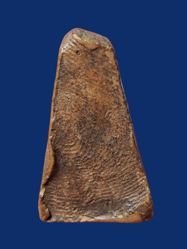 เปิดจ้า💞สนใจทักแชทได้เลยนะคะ 💚ส่งฟรีค่ะ 🥰 รูปที่ 2