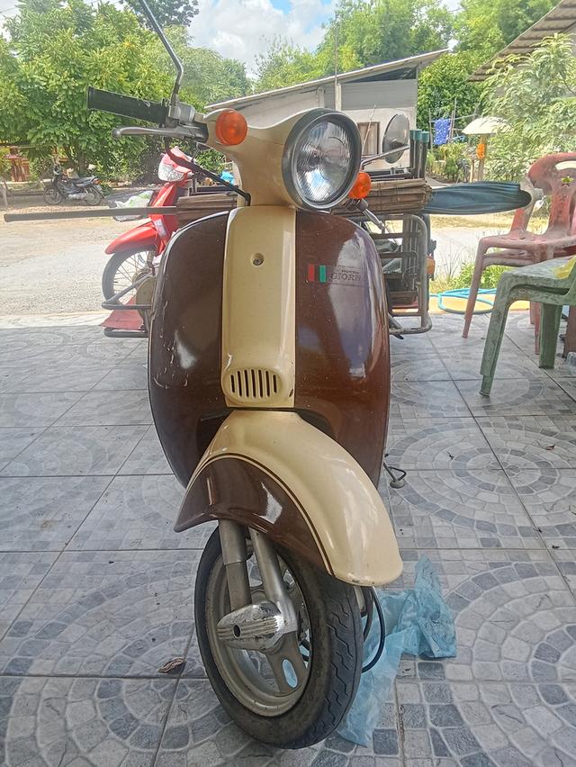 Honda giorno 50cc รถป๊อบ 1