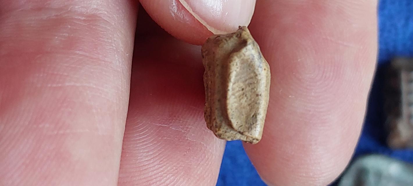 พระรอดกรุวัดมหาวัน ลำพูน รูปที่ 8