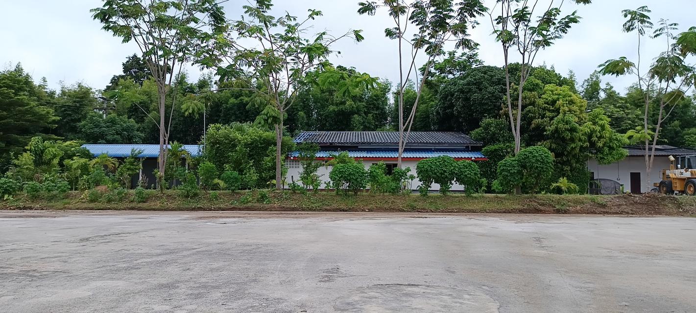 ที่ดินพร้อมสิ่งปลูกสร้าง (เดิมเป็นลานตากมันสำปะหลัง) 2