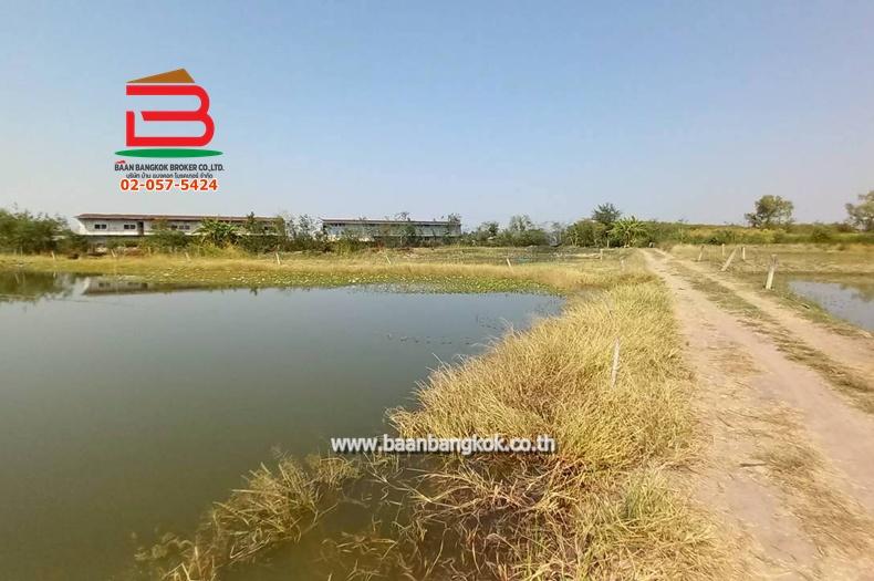 ที่ดิน ซอยโรงหลวง (ใกล้ห้างตะวันออกคอมเพล็กซ์) เนื้อที่ 9 ไร่ 1 งาน 67 ตรว. ตำบลหนองตีนนก อำเภอบ้านโพธิ์ ฉะเชิงเทรา 12