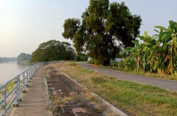 ให้เช่าที่ดินเปล่าถมแล้ว 226ตารางวาติดแม่น้ำน่านวิวสวย 4