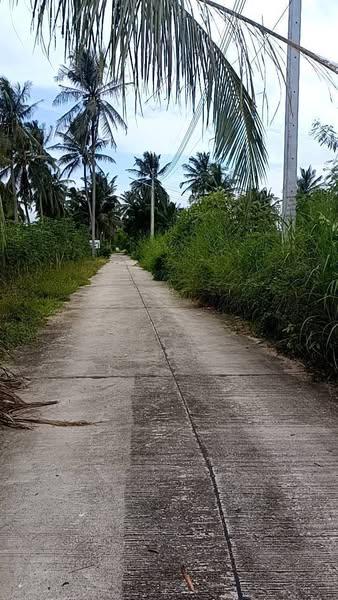 ขายที่ดินโป่ง พัทยาเนื้อที่ 2 ไร่ ใกล้ถนนกระทิงลาย-ปลวกเกตุ-800เมตร อ.บางละมุง ชลบุรี