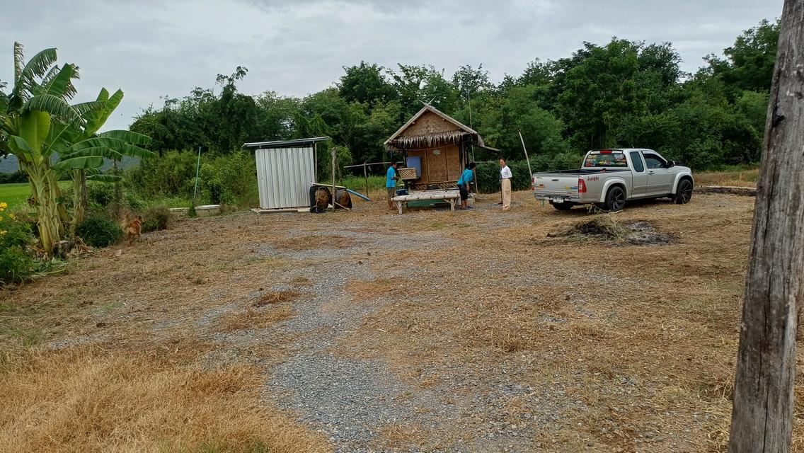 ที่ดินสวยเหมาะกับการทำบ้านสวนและการเกษตร 8