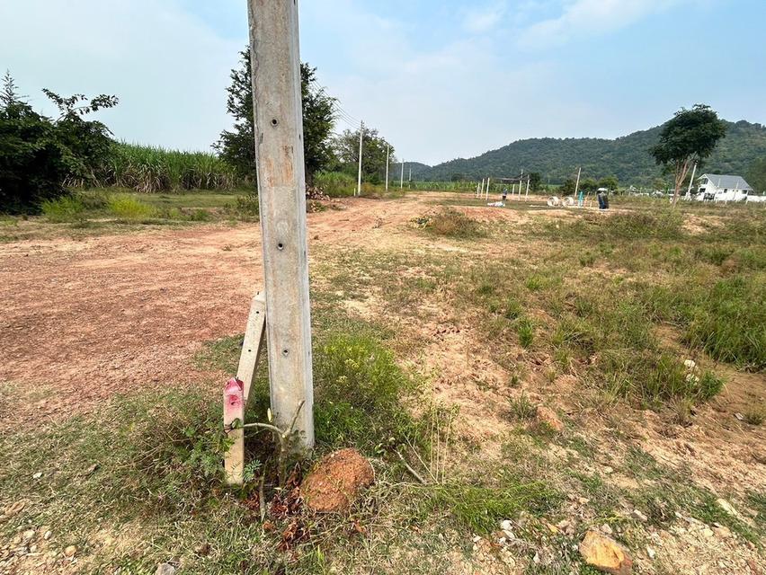 ที่ดิน โพธาราม ราชบุรี 5