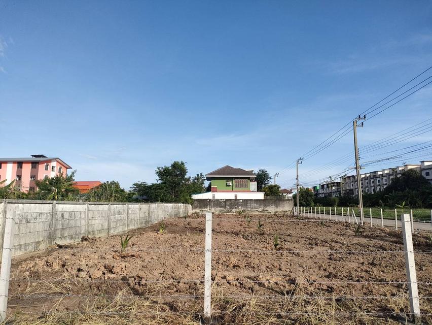 ที่ดินซอยฉลองกรุง19 255 ตารางวา 1
