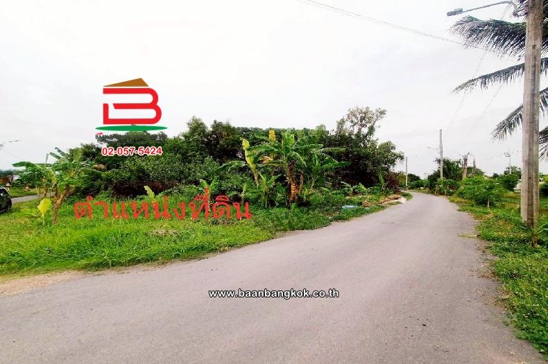 ที่ดินเปล่า ติดซอยสมหวัง เนื้อที่ 357 ตร.ว แขวงเจียระดับ เขตหนองจอก(เจียระดับ) กรุงเทพมหานคร 1