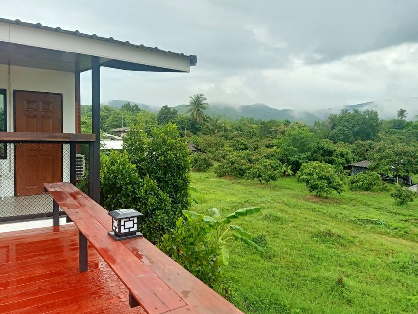 บ้านในสวนว่างให้เช่า 3