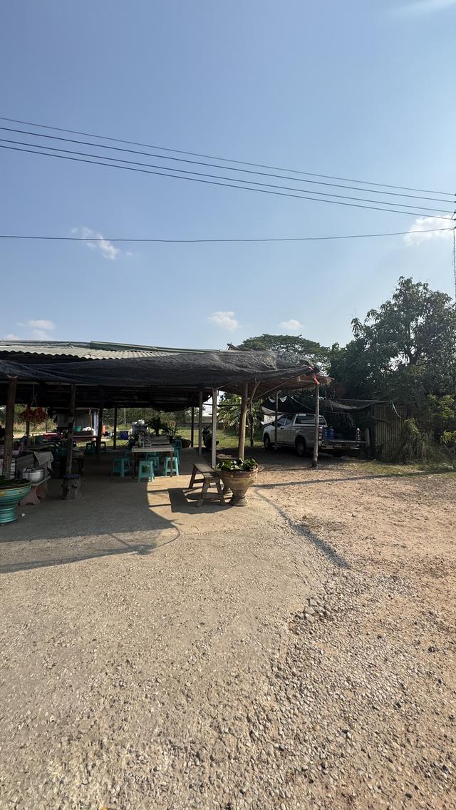 ที่ดินพร้อมเซ้งกิจการต่อได้เลย ร้านส้มตำไก่ย่าง ร้านเป็นที่นิยม หรือเหมาะสร้างห้องพัก ห้องเช่า ทำกิจการ 7