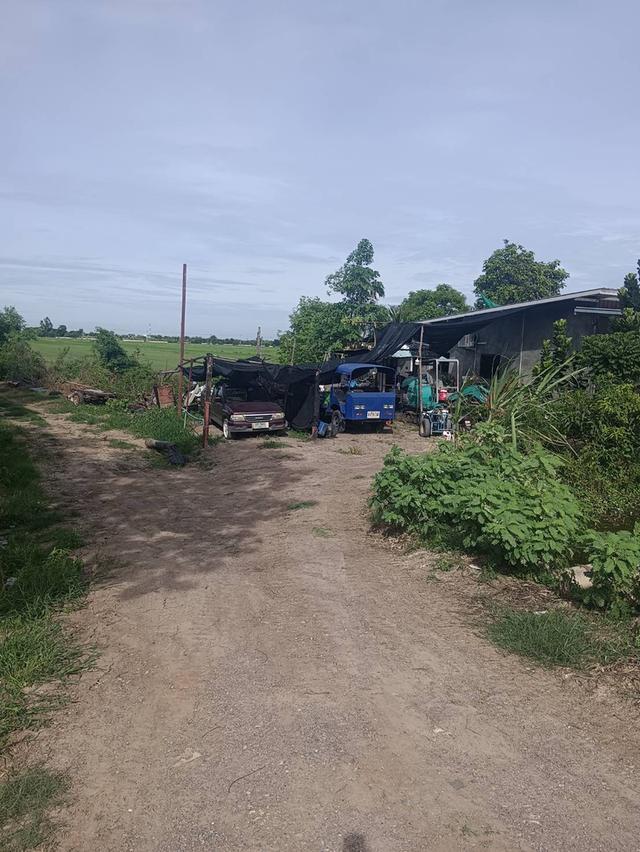 ขายที่ดินติดถนนบ้านกล้วยไทรน้อย 2