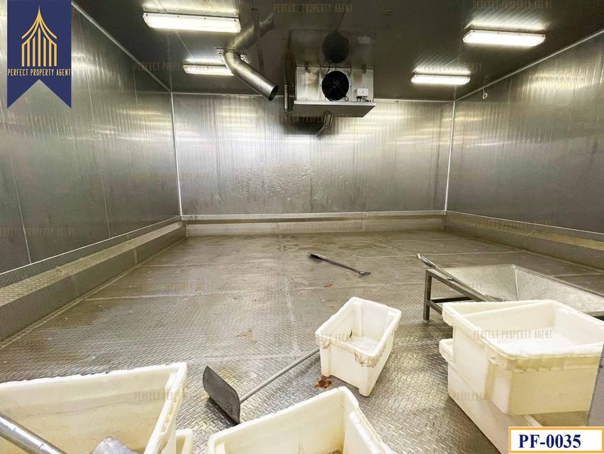 ขายโรงงาน ห้องเย็น ใกล้บ้านโพธิ์ ฉะเชิงเทรา คลองประเวศ ฉะเชิงเทรา 7