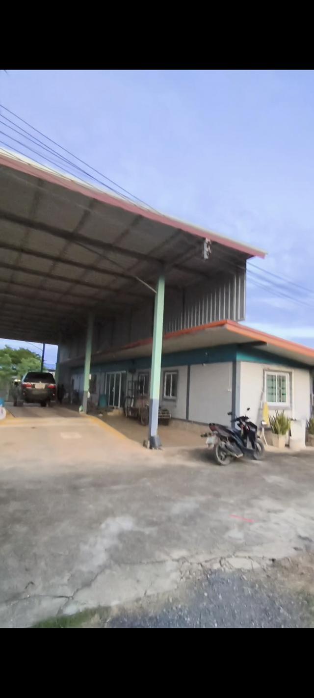 โรงงานพร้อมสวนที่ดินส้มโอ 4