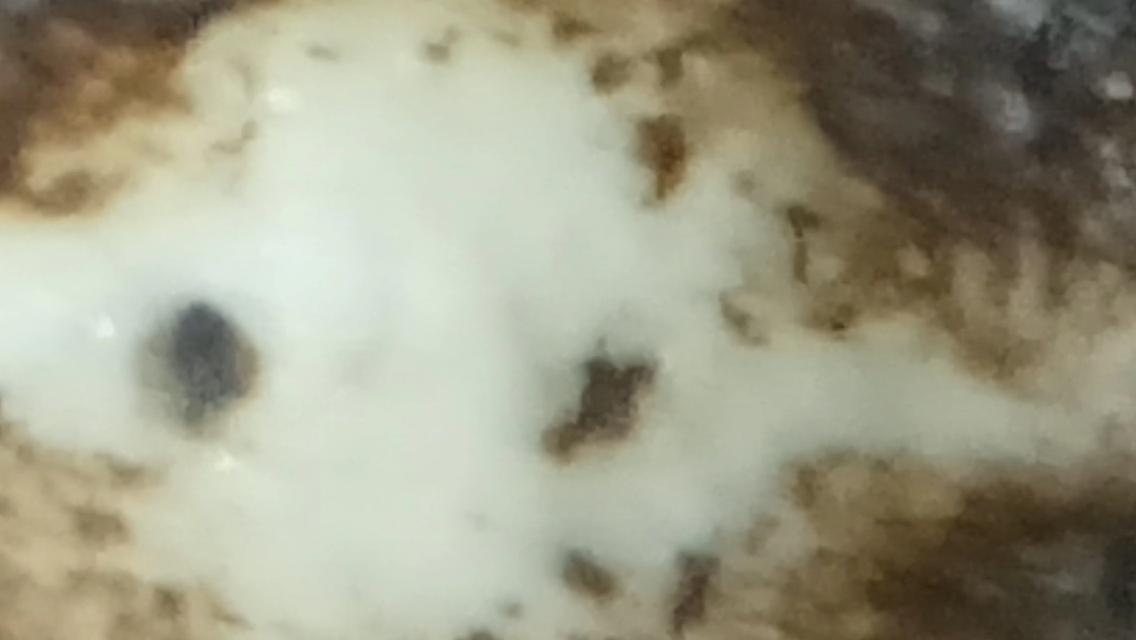 พระสมเด็จวัดเกศใชโยพิมพ์เก้าชั้น รูปที่ 9