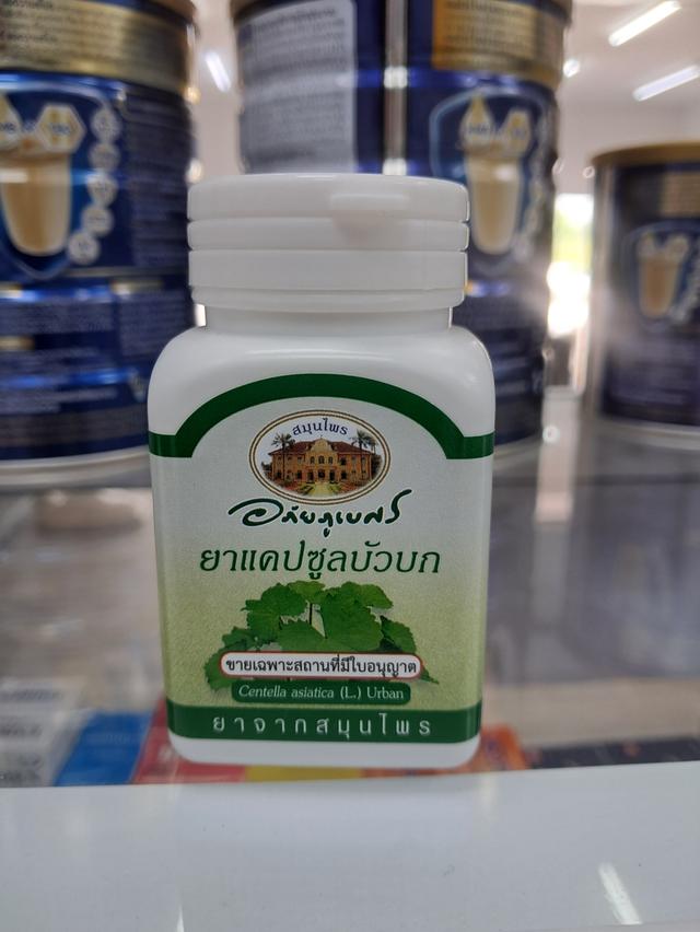 บัวบก อภัยภูเบศร์