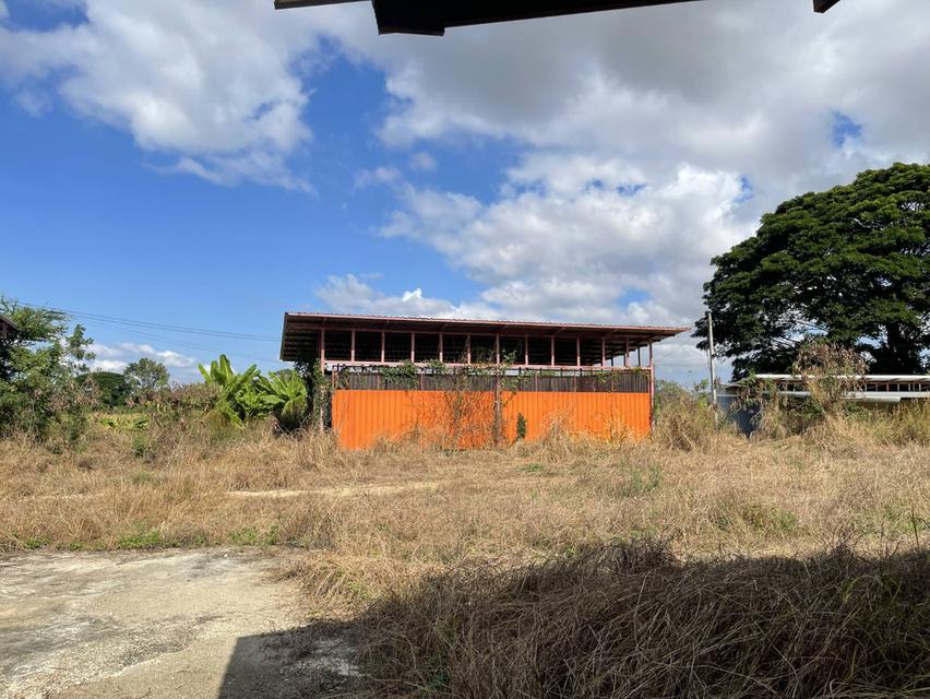 ขายที่ดินแปลงสวย ถมแล้ว ติดถนนพหลโยธิน จ.พะเยา (หน้ากว้าง 230 ม.) เหมาะทำโกดัง/ศูนย์กระจายสินค้า/ปั๊มน้ำมัน 8