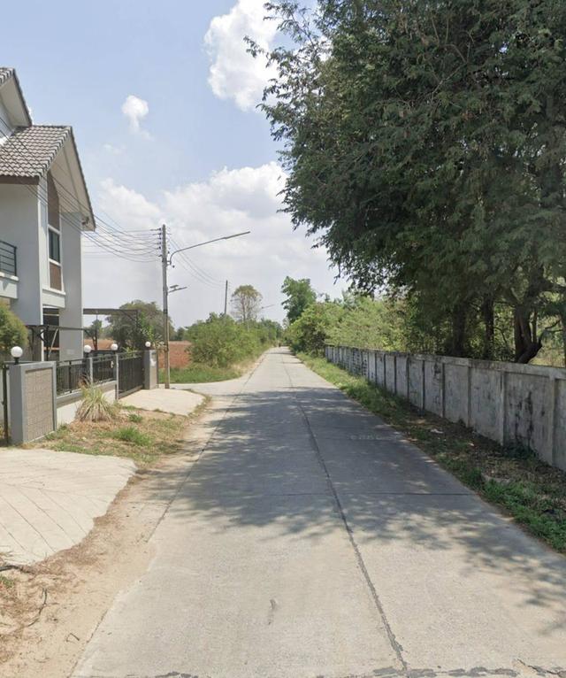 ขายที่ดินตำบลมิตรภาพอำเภอสีคิ้วจังหวัดนครราชสีมา  พื้นที่​  354.9ตรว. 4