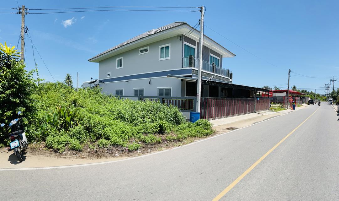 ที่ดิน 49 ตารางวา สิงหนคร ใกล้ท่าแพขนานยนต์ 2